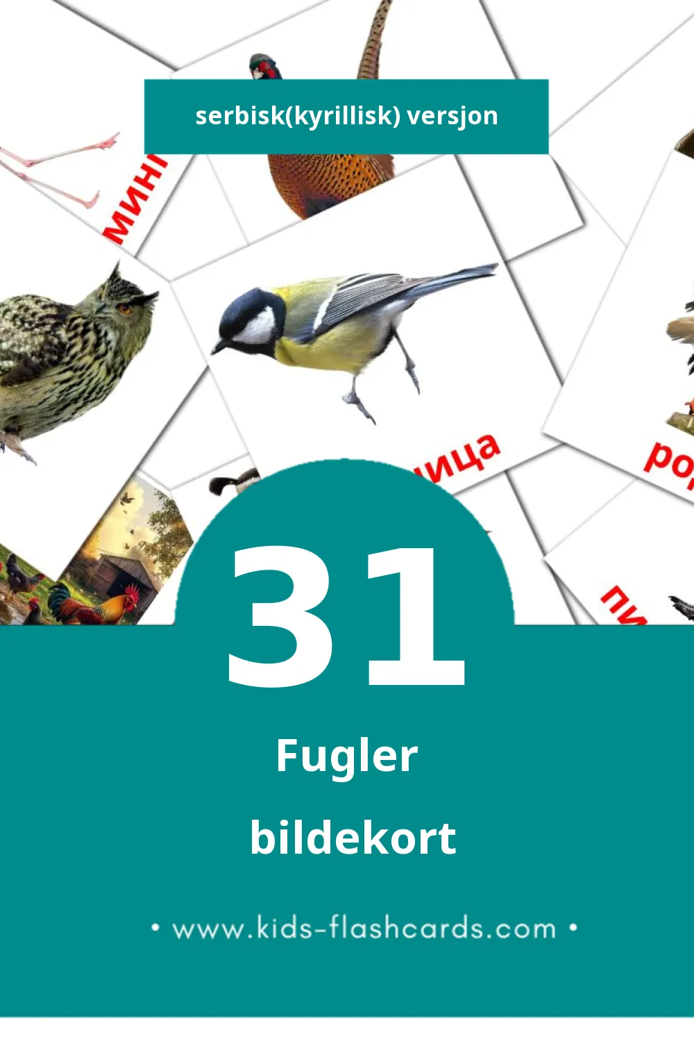Visuelle Птице bildekort for småbarn (31 kort på Serbisk(kyrillisk))