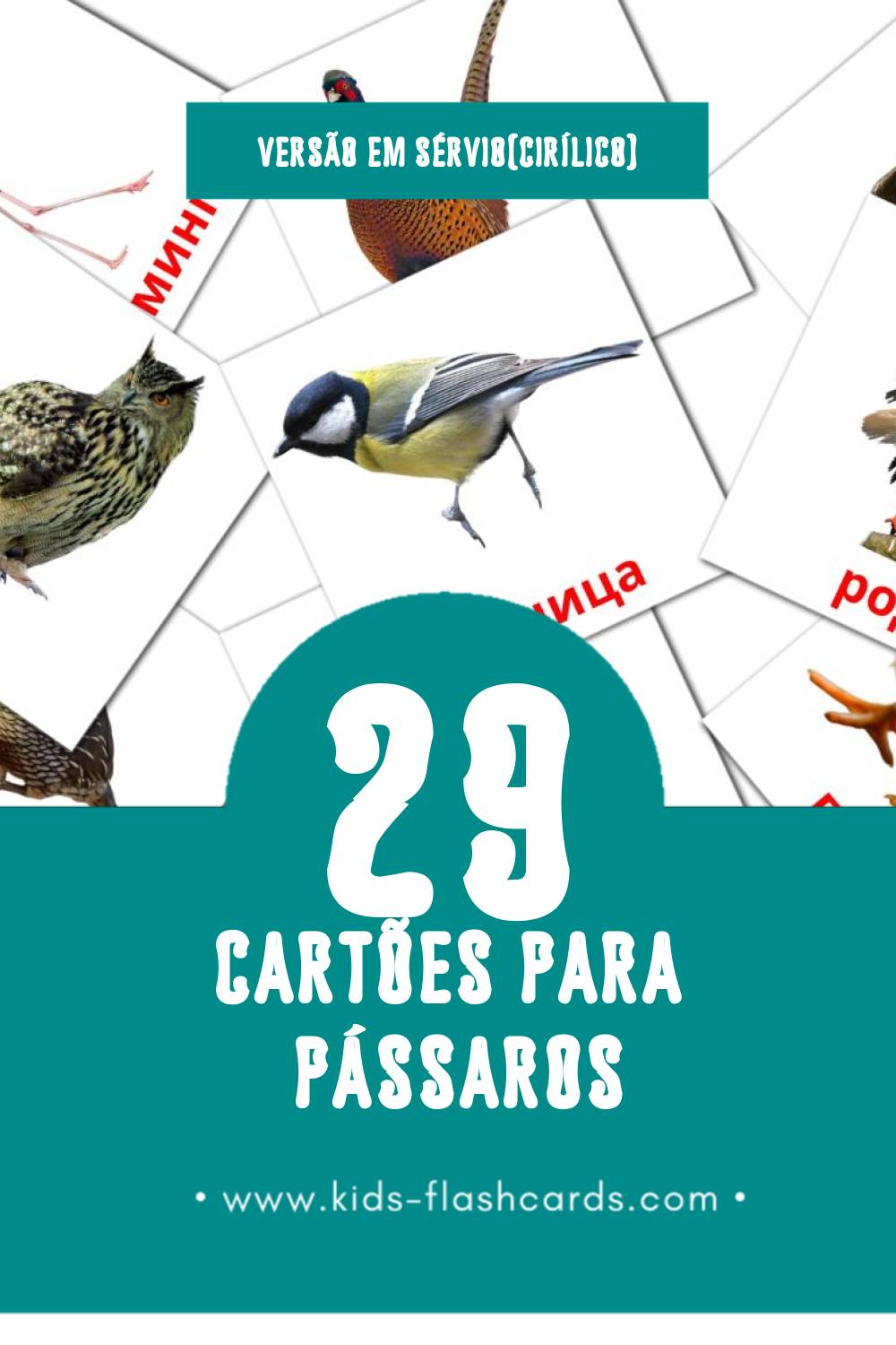 Flashcards de Птице Visuais para Toddlers (29 cartões em Sérvio(cirílico))