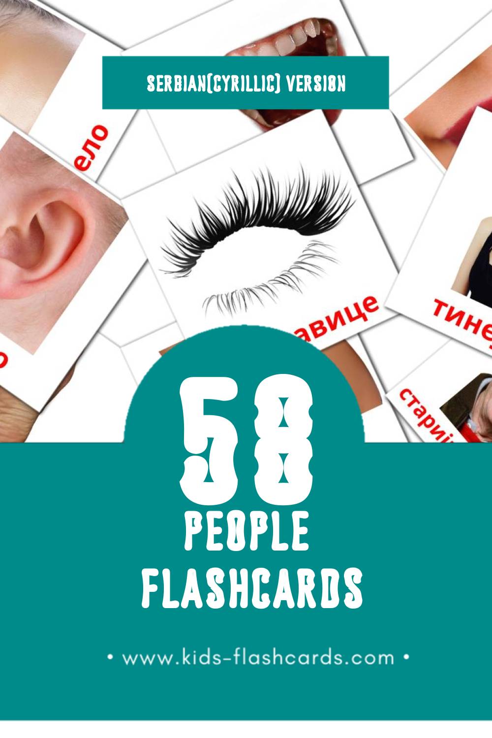 Visual Људи Flashcards for Toddlers (58 cards in Serbian(cyrillic))