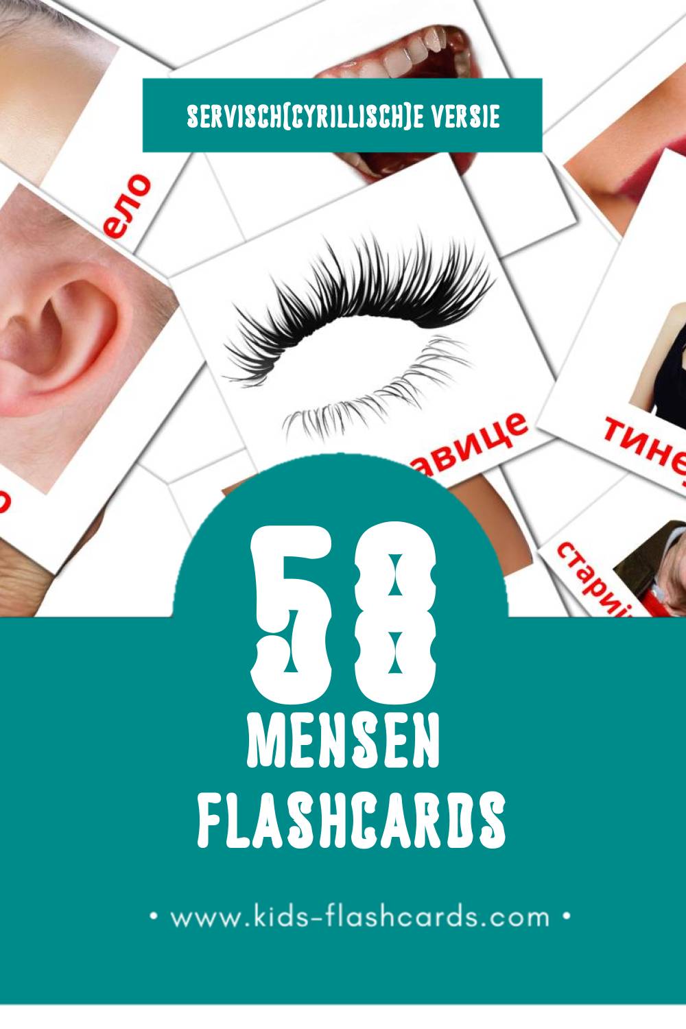 Visuele Људи Flashcards voor Kleuters (58 kaarten in het Servisch(cyrillisch))