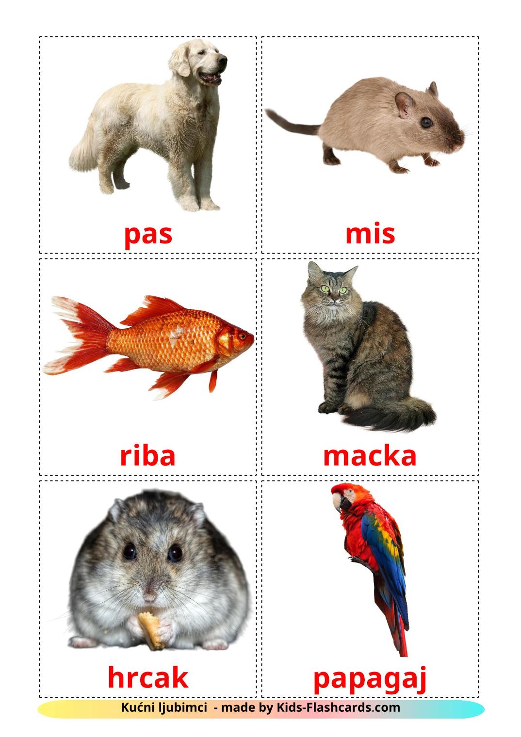 Domestic animals - 10 Free Printable serbian Flashcards 