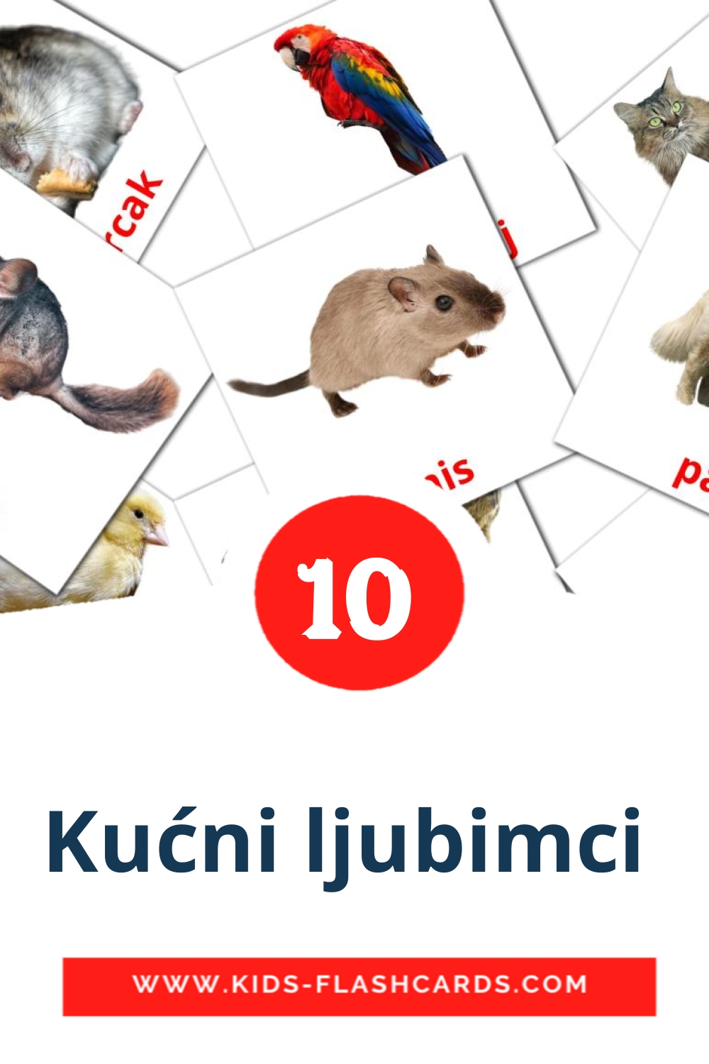 10 Kućni ljubimci  Picture Cards for Kindergarden in serbian