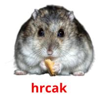 hrcak picture flashcards