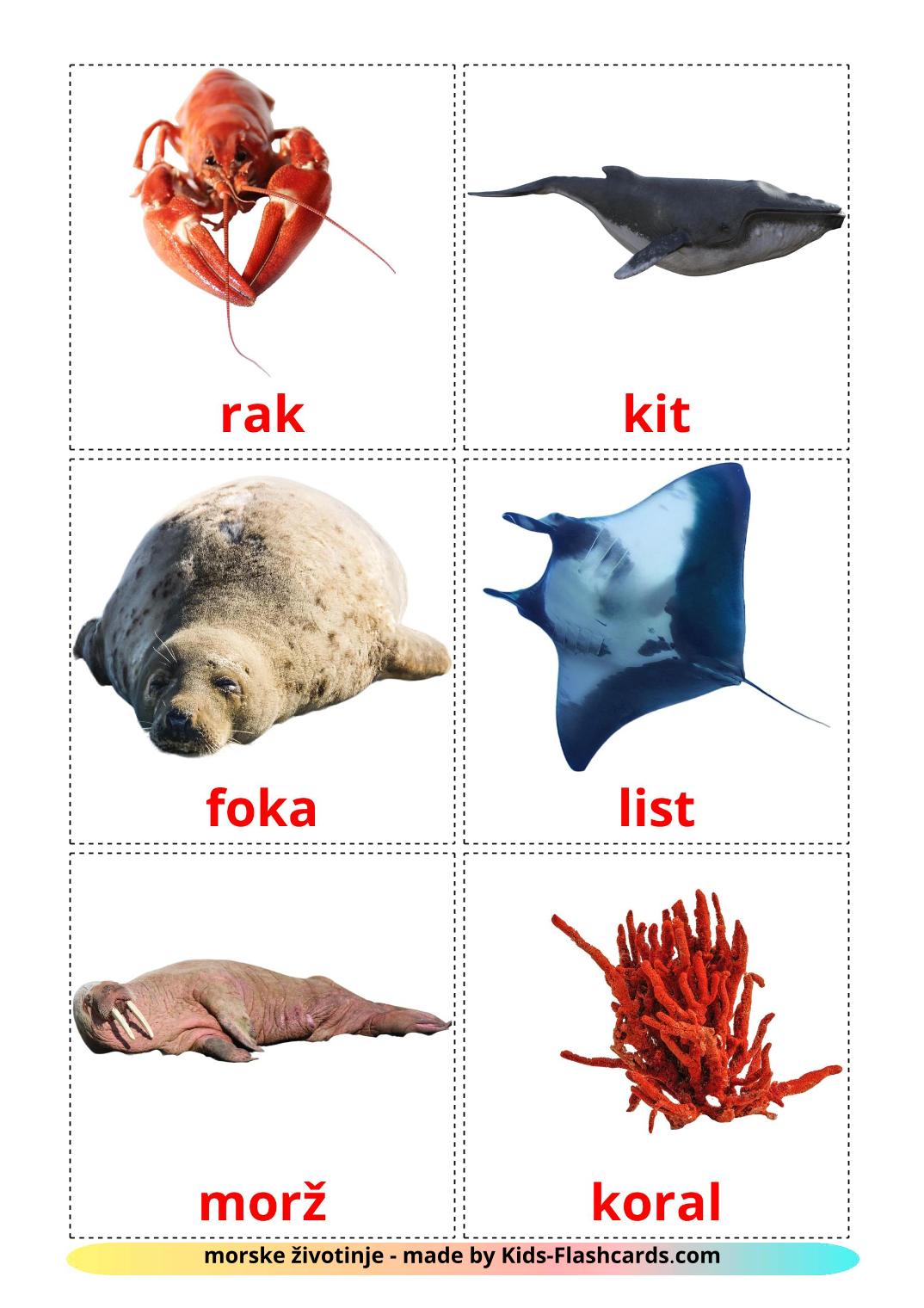 Sea animals - 29 Free Printable serbian Flashcards 