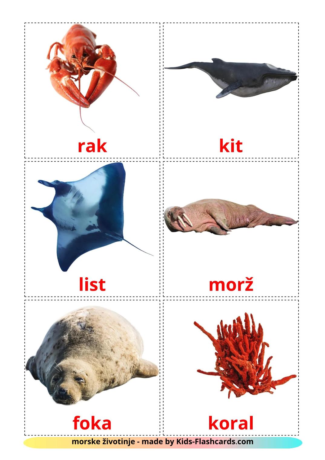 Les Animaux Marins - 30 Flashcards serbe imprimables gratuitement