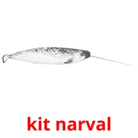 kit narval cartes flash