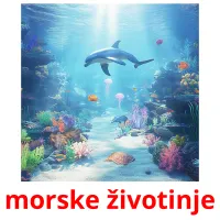 morske životinje cartes flash