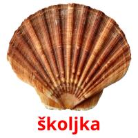 školjka card for translate