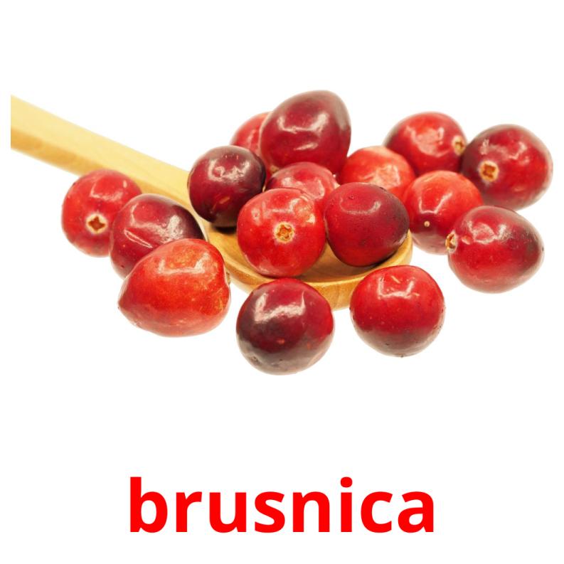 brusnica picture flashcards