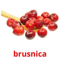 brusnica card for translate