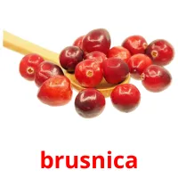 brusnica ansichtkaarten