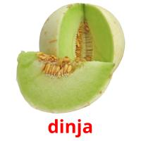 dinja picture flashcards