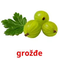 grožđe Bildkarteikarten