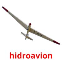 hidroavion picture flashcards