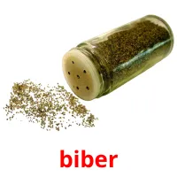 biber Bildkarteikarten