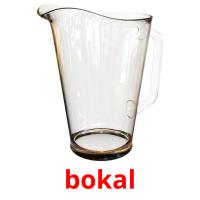 bokal flashcards illustrate