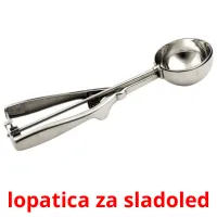 lopatica za sladoled Bildkarteikarten