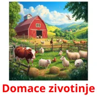 Domace zivotinje Bildkarteikarten