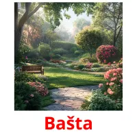 Bašta cartões com imagens