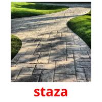 staza picture flashcards