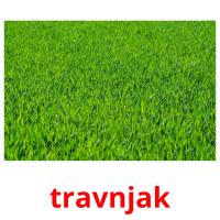 travnjak picture flashcards