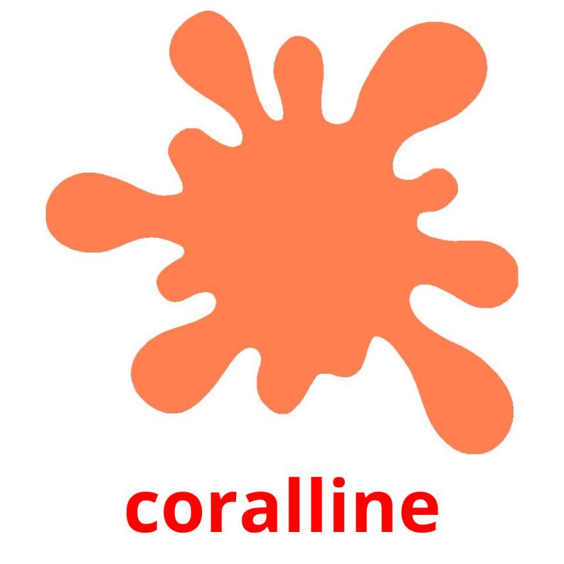 coralline picture flashcards