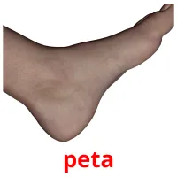 peta Bildkarteikarten