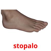 stopalo picture flashcards