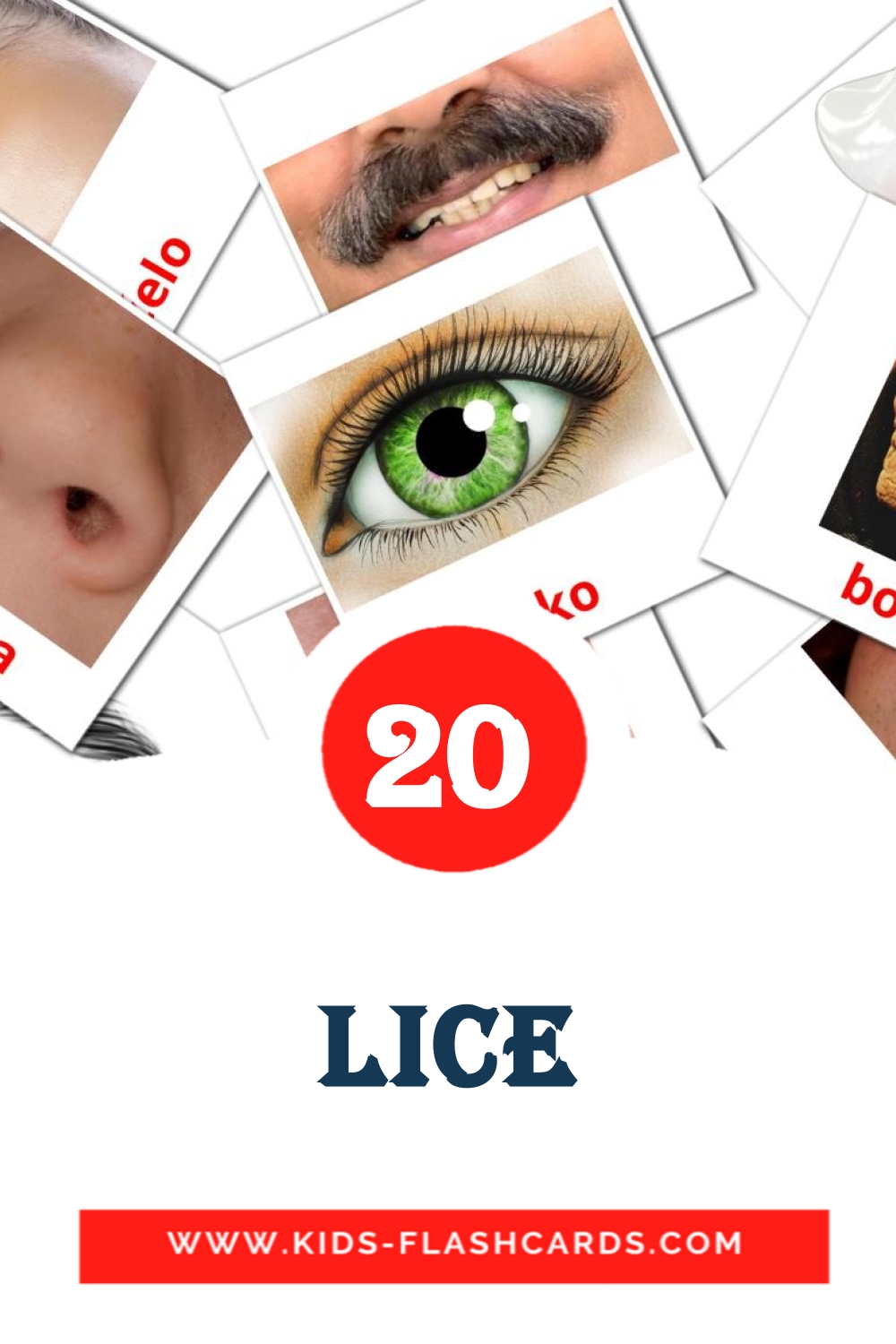 20 tarjetas didacticas de Lice para el jardín de infancia en serbio