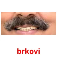 brkovi Bildkarteikarten