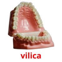 vilica picture flashcards