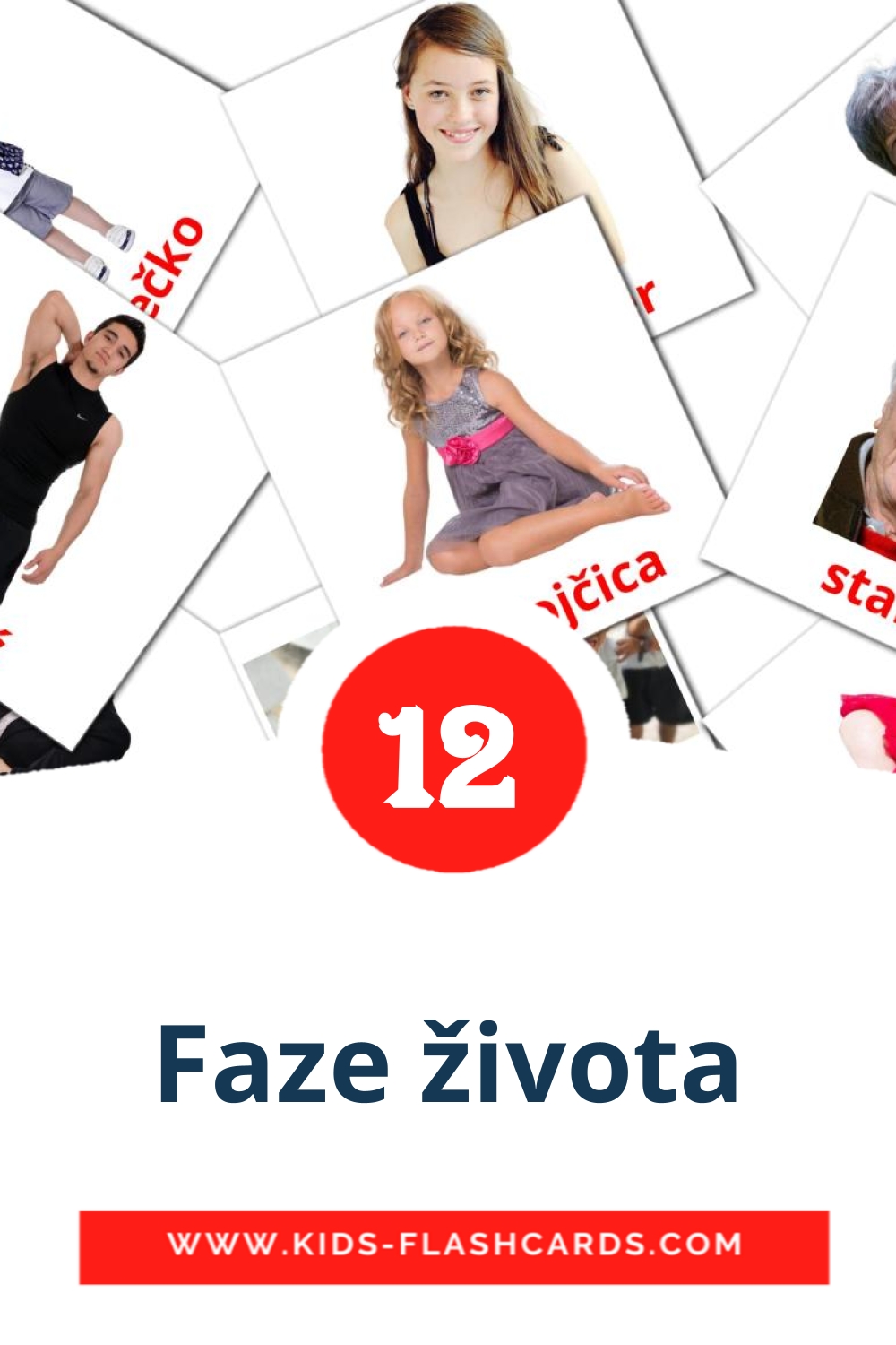 12 tarjetas didacticas de Faze života para el jardín de infancia en serbio