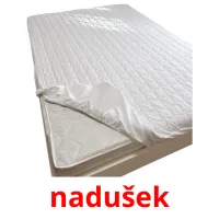 nadušek Bildkarten für Kinder