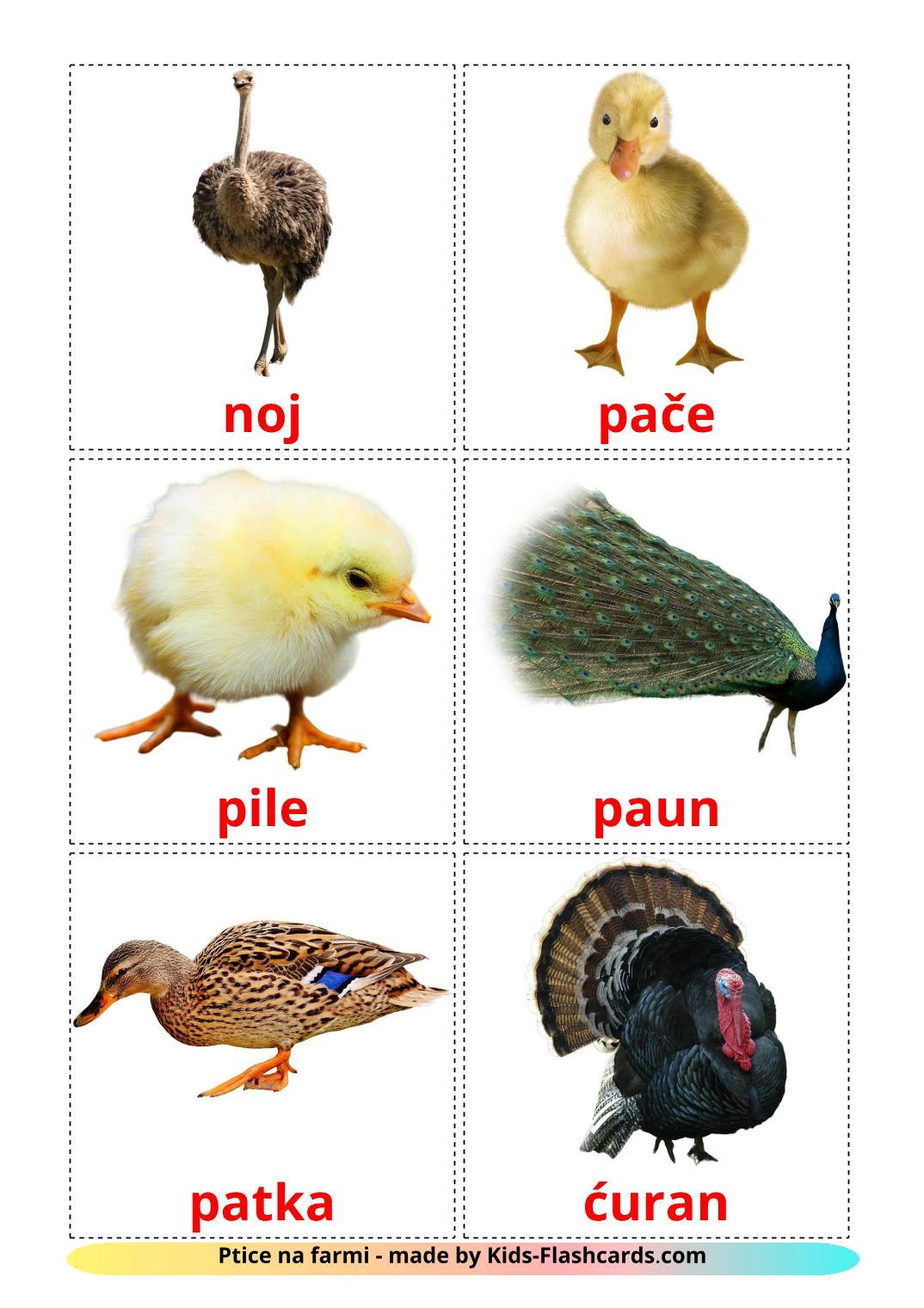 Les Oiseaux de Ferme - 11 Flashcards serbe imprimables gratuitement