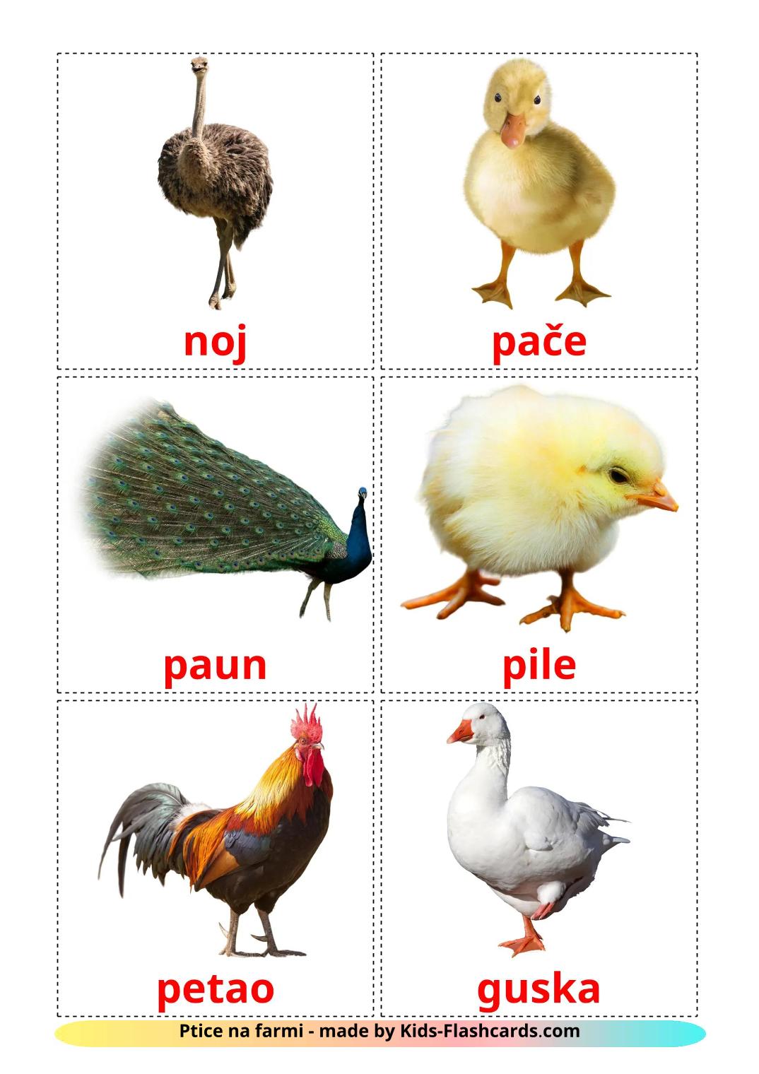 Aves da Quinta - 12 Flashcards sérvioes gratuitos para impressão