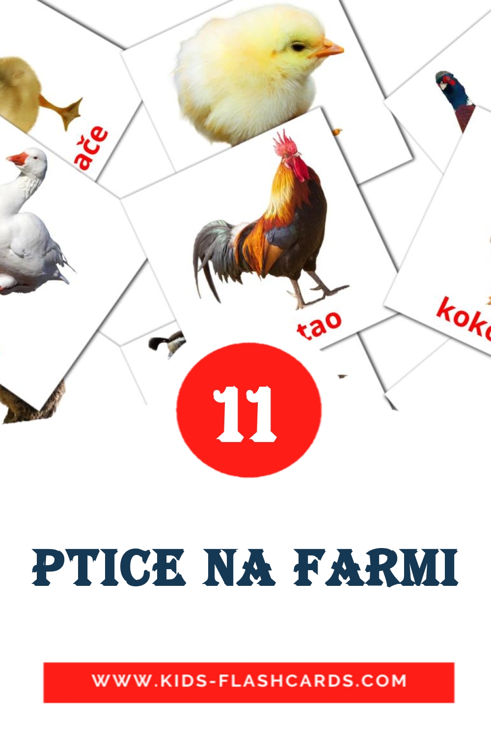 11 cartes illustrées de Ptice na farmi pour la maternelle en serbe