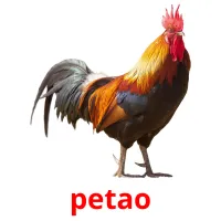 petao cartões com imagens