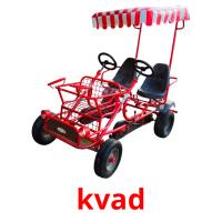 kvad picture flashcards