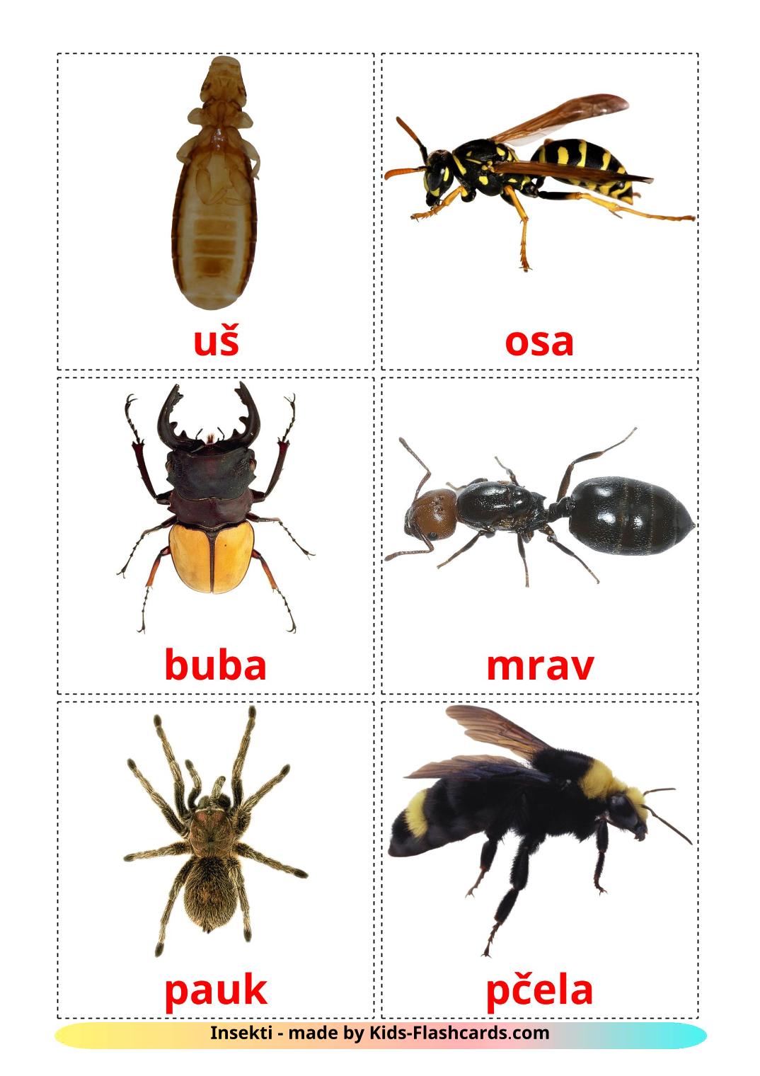 Insects - 23 Free Printable serbian Flashcards 
