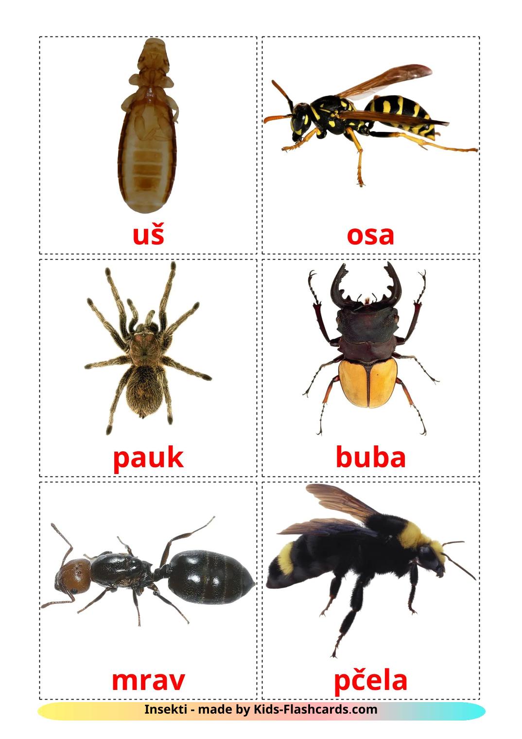 Les Insectes - 24 Flashcards serbe imprimables gratuitement