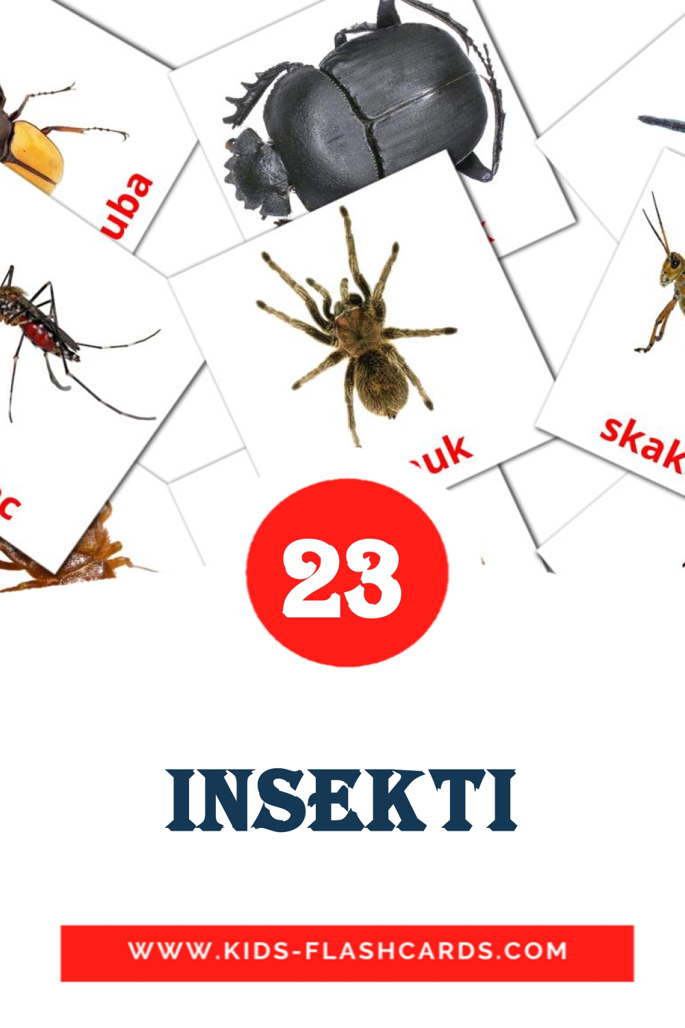 23 Insekti Picture Cards for Kindergarden in serbian