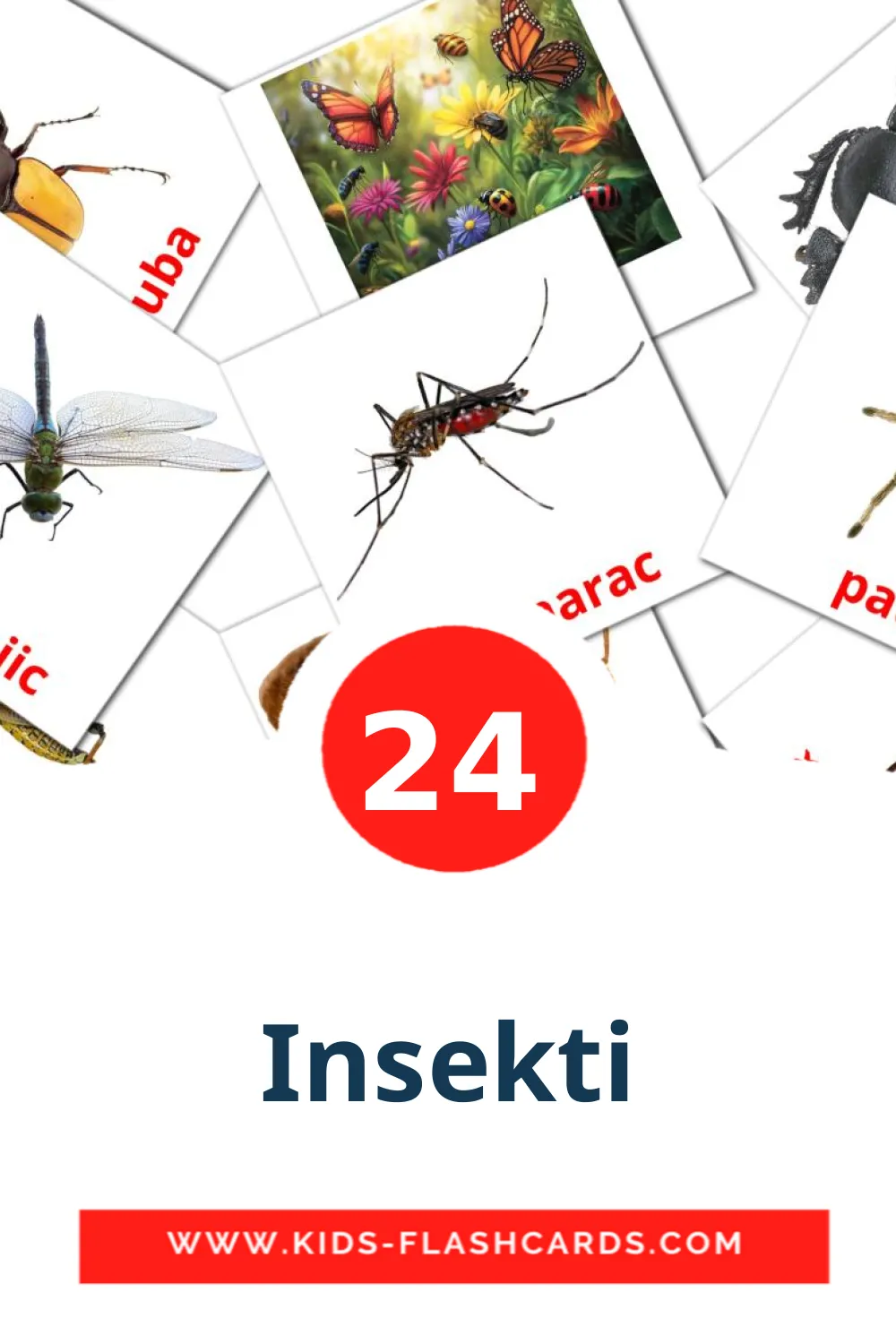 24 cartes illustrées de Insekti pour la maternelle en serbe