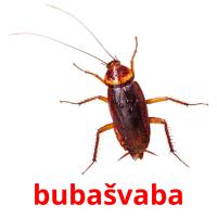 bubašvaba card for translate
