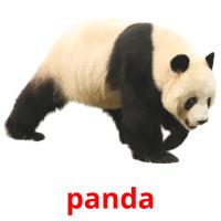 panda flashcards illustrate