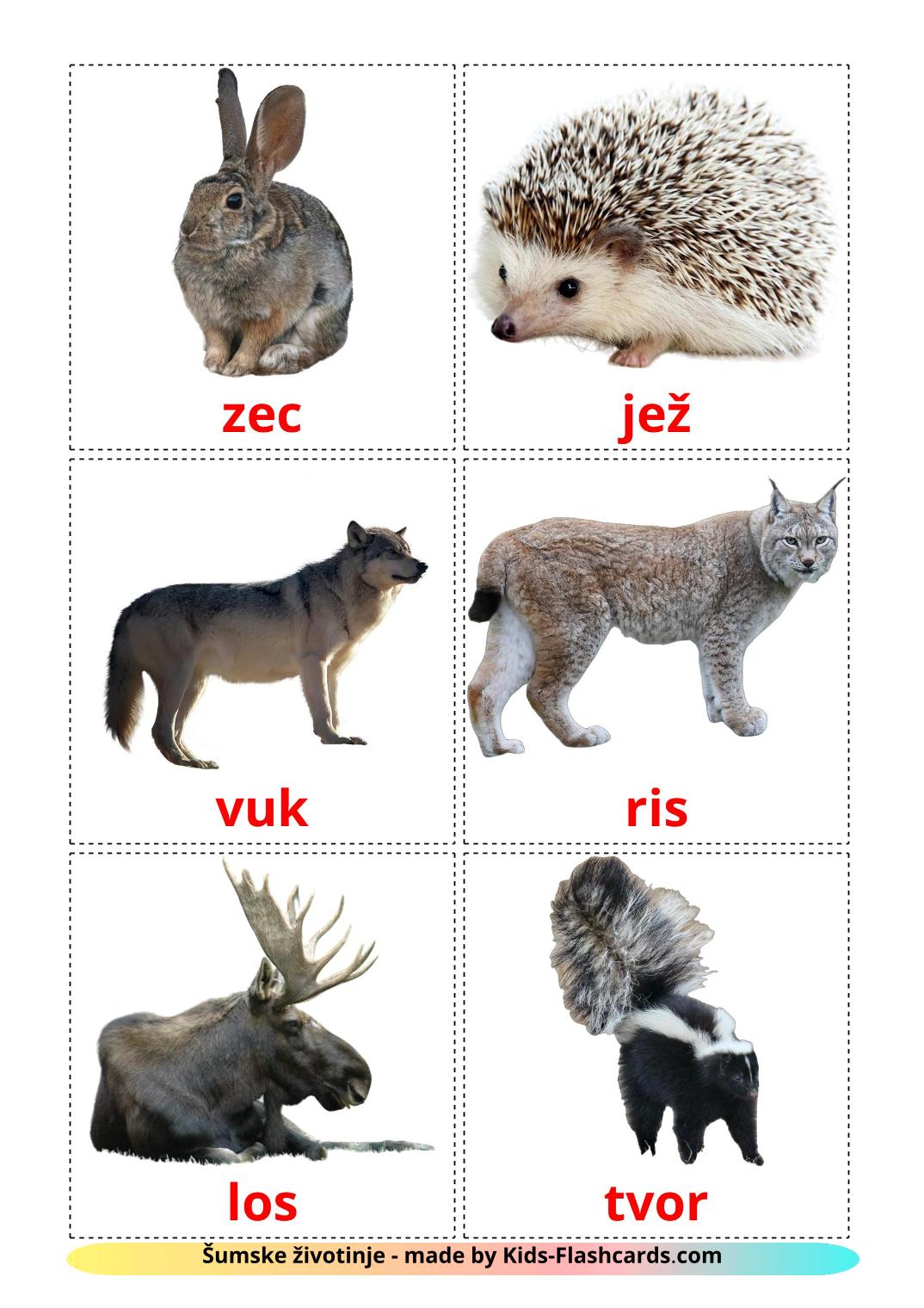 Forest animals - 22 Free Printable serbian Flashcards 