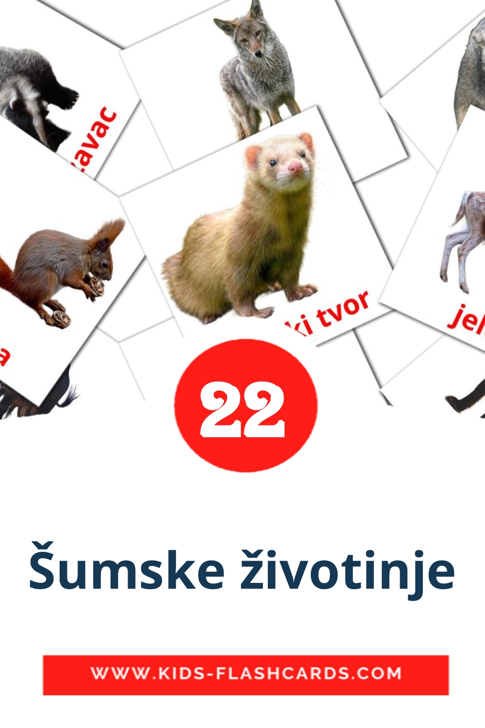 22 Šumske životinje Picture Cards for Kindergarden in serbian