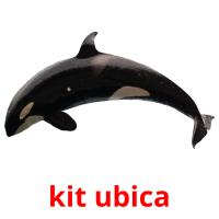 kit ubica picture flashcards