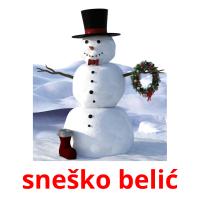 sneško belić card for translate