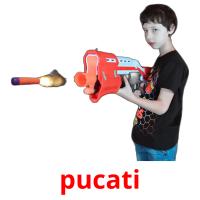 pucati picture flashcards