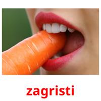zagristi picture flashcards
